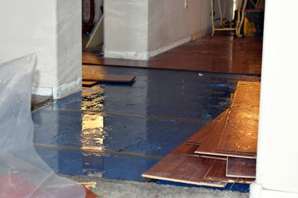 Professional Basement Flood Cleanup technician working in Latham, NY